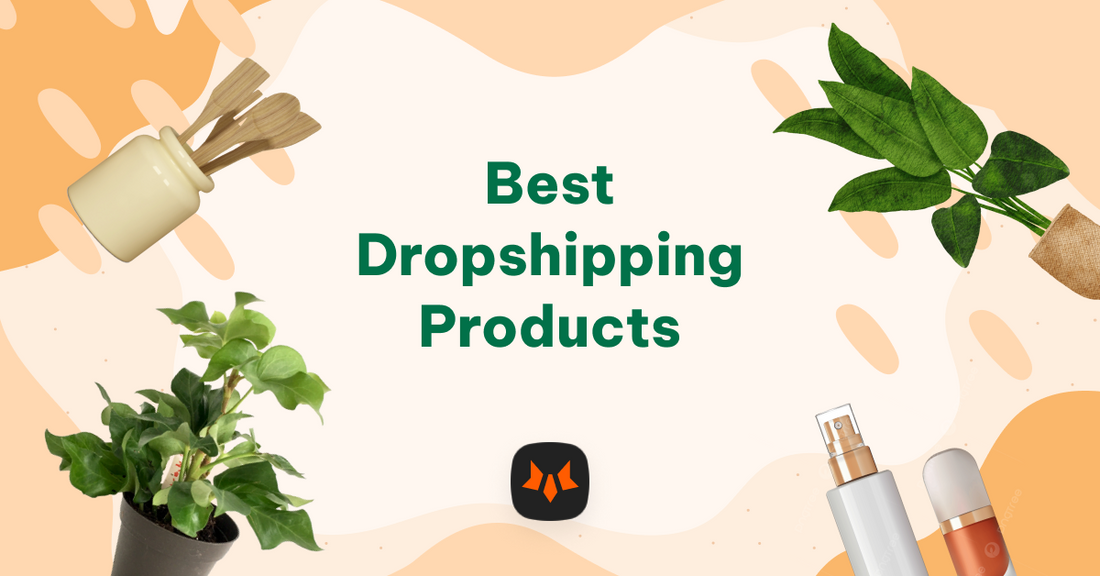 best dropshipping products