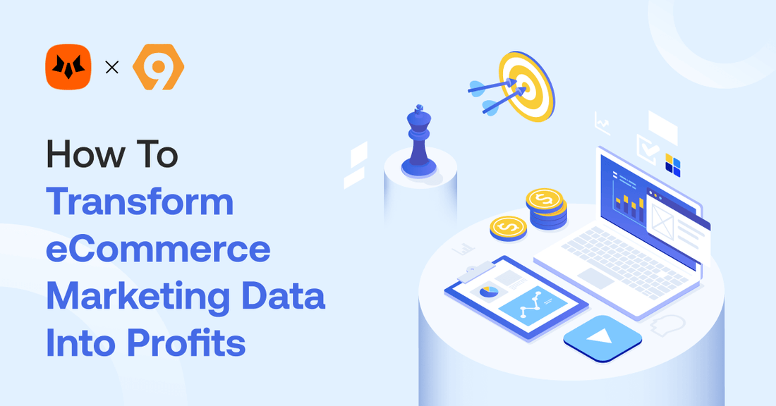 How to Transform eCommerce Marketing Data into Profits in 2025