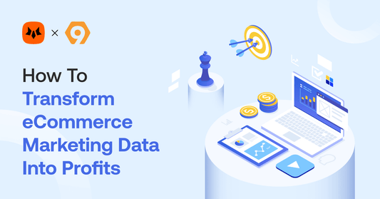 How to Transform eCommerce Marketing Data into Profits in 2024